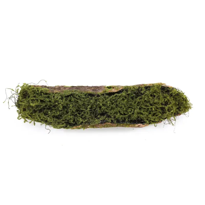 Tronco Decorativo Horizontal Musgo/Madeira M 15x70x14cm Verde/Marrom - 1 Un