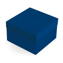 Kit Caixa Quadrada Cobalto Azul G 32x32x13cm - 10 Un