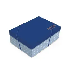 Kit Caixa Retangular com Tampa Polo M 35x25x11cm - 10 Un
