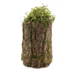 Tronco Decorativo Vertical Musgo/Madeira G 18x18x35cm Verde/Marrom - 1 Un