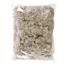 Musgo Decorativo Permanente 250g Natural - 1 Un