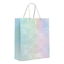 Kit Sacola de Papel Premium Relevo Nacarado G 38x34x15cm - 10 Un