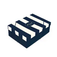 Kit Caixa Retangular com Tampa Royal P 24x18x8cm - 10 Un