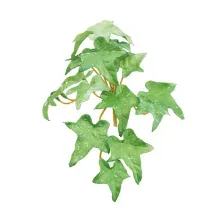 Folhas Decorativas Permanentes - Pick Hera 13cm Verde - 6 Buquês