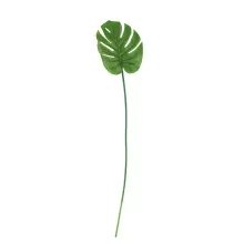 Folhas Decorativas Permanentes - Costela de Adão 68cm Verde - 6 Hastes