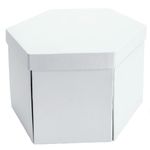Caixa Hexagonal Surpresa de Papel Liso 24,2x21x15,5cm Branco - 1 Un