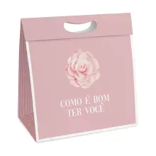 Kit Caixa New Plus P 18x7,5x24cm Camélia - 10 Un