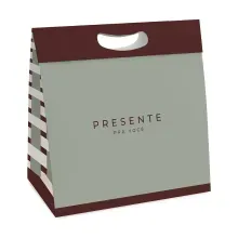 Kit Caixa New Plus P 18x7,5x24cm Land - 10 Un