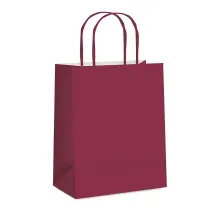 Kit Sacola de Papel Marsala G 32x26,5x13cm - 10 Un