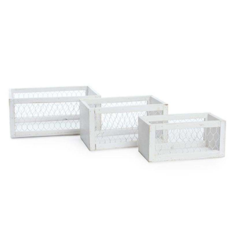 Caixote de Madeira com Tela Arame Branco para Médio Grande - 3 Un
