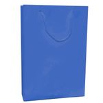 Sacola Cartonada 21.5x15cm Liso Azul Marinho - 10 Un