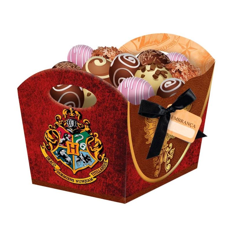 Festa Harry Potter - Cachepô Harry Potter - 08 Un