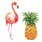 Flamingo Parangolé - Kit Tatuagem 02 Un
