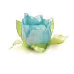 Forminhas para Doces Tulipa Azul Tiffany - 24 Un