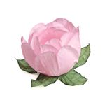 Forminhas para Doces Amarilis Rosa Claro - 24 Un