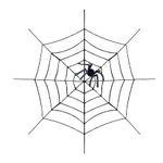 Halloween - Teia com Aranha Preto 150 cm