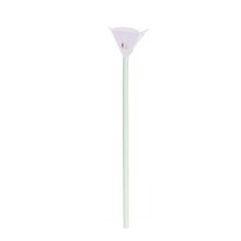 Kit Suporte para Balão Branco Kit - 5 Pacotes