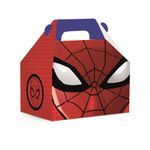 Caixa Maleta Kids Spider Man M 12X8X12 - 100 Un