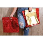 Sacola Laminada com Ziper Star Ouro 32x40 Sanfonado - 1 Un