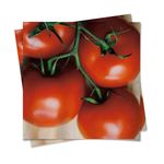 Guardanapo Tomate 32,5x32,5 com 20 Folhas