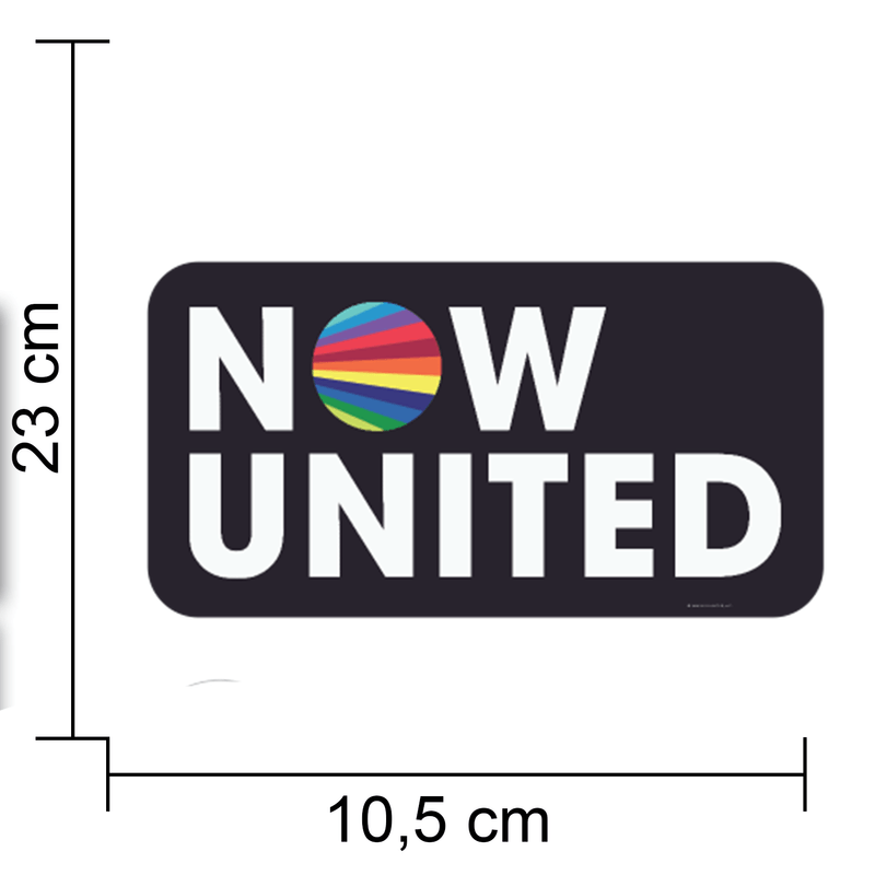 Kit de Painéis para Festa Decoração Now United - 1 Un