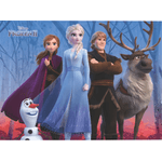 Painel Retangular de TNT para Decoração Festa Frozen 2 - 1 Un