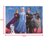 Painel Retangular de TNT para Decoração Festa Frozen 2 - 1 Un