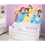 Painel Retangular TNT Decoração Disney Princesas Modelo 2 - 1 Un