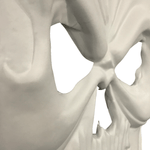 Painel Relevo para Decoração Halloween 3D Caveira Gigante