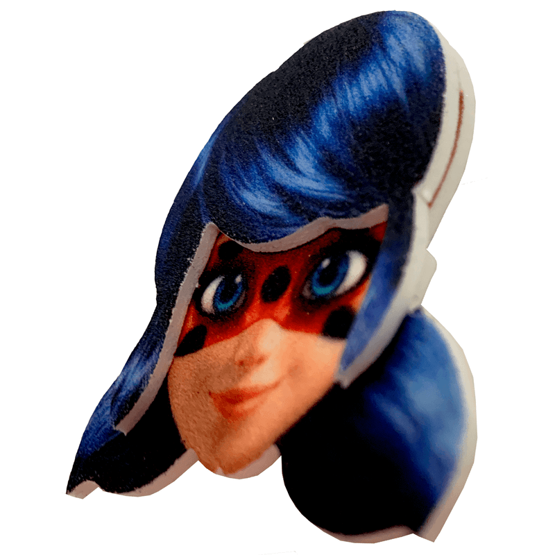 Mini Carinha Ladybug - 5 Un