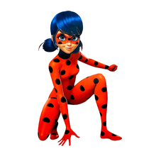 Painel Ladybug