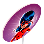 Palitos Decorativo Impresso Ladybug - 12 Un