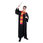 Fantasia Harry Potter Grifisória Adulto - Harry Potter G
