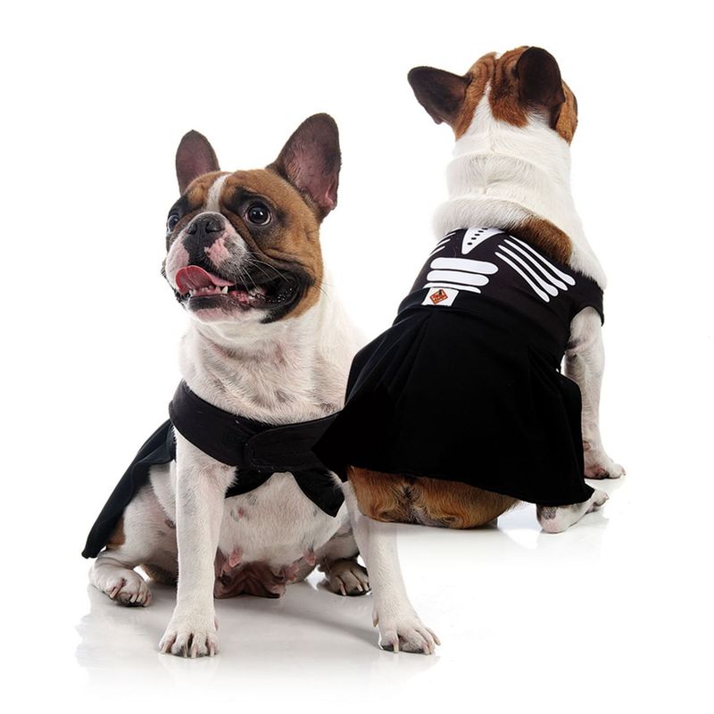 Vestido para Cachorros Esqueleto GG