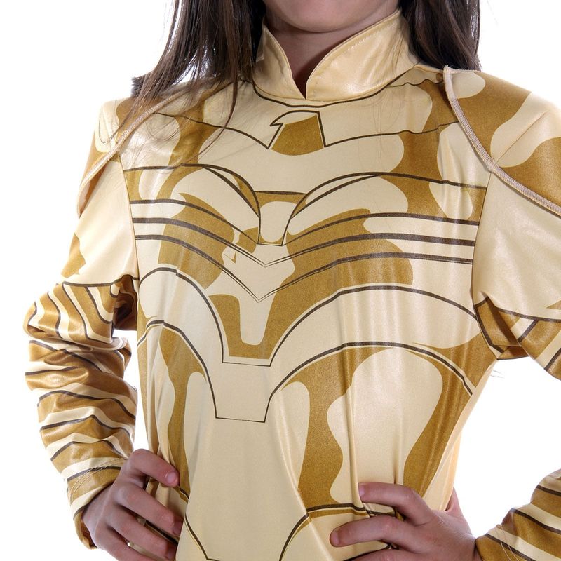 Fantasia Mulher Maravilha 1984 Gold - Wonder Woman 84 G