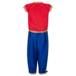 Fantasia Aladin Luxo Infantil - Carnaval  M