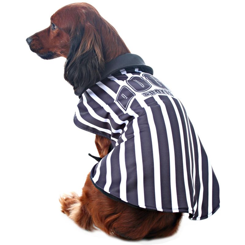 Colete para Cachorros Alvi Negro M