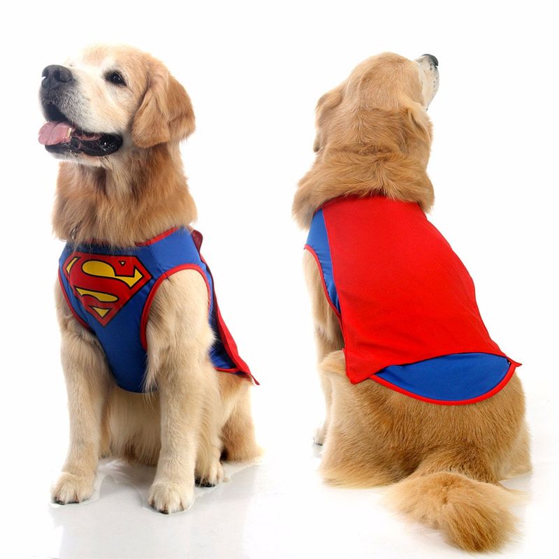 Fantasia para Cachorro Superman Simples - Liga Justiça P