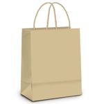 Sacola Papel Kraft M 17,5x8,5x21,5cm c/10 - LC