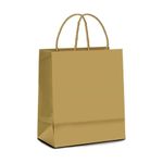 Sacola Papel Kraft 23,5x17x28cm c/10 - Lc Embalagens