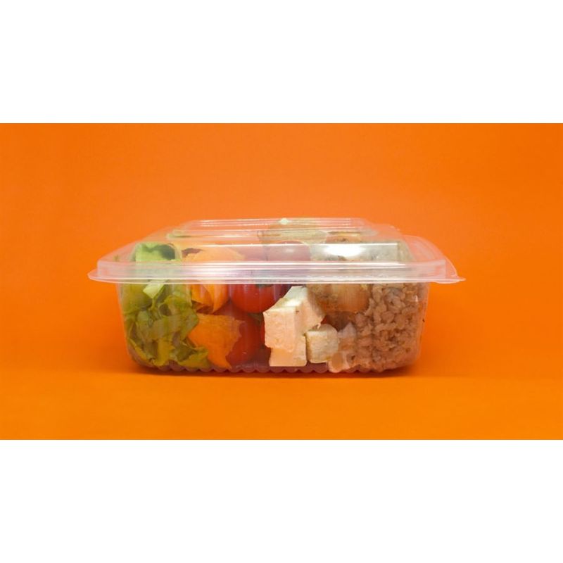 RIOPLASTIC POTE 250ML RET C/TP ART C/12X24