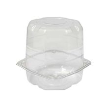 GALVANOTEK G-33 PANETONE CR 500GR C/TP C/100