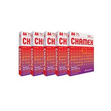 FOLHA SULFITE CHAMEX 75GR C/10X500