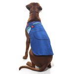Fantasia para Cachorros Chuck Pet - Halloween  EG