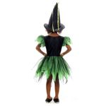 Fantasia Bruxa Encantada Verde Luxo Vestido Infantil com Chapéu - Halloween M