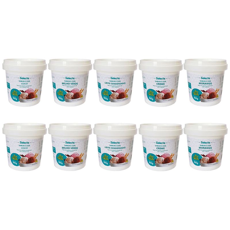 Kit Sabor em Pó Pequeno 10 un Sortidas - Selecta