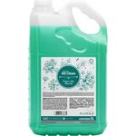 AUDAX SABONETE ERVA DOCE GOLD C/5LT