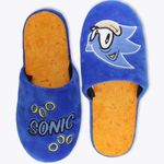 Chinelo Sonic Speed 39/40/41