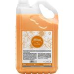 AUDAX SABONETE PESSEGO ALLCLEAN C/5LT