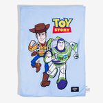 Manta ZC Pets Toy Story Disney